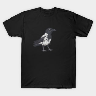 Hooded Crow T-Shirt